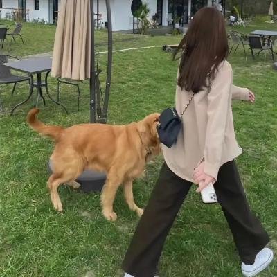 鹦鹉老妈 封面
